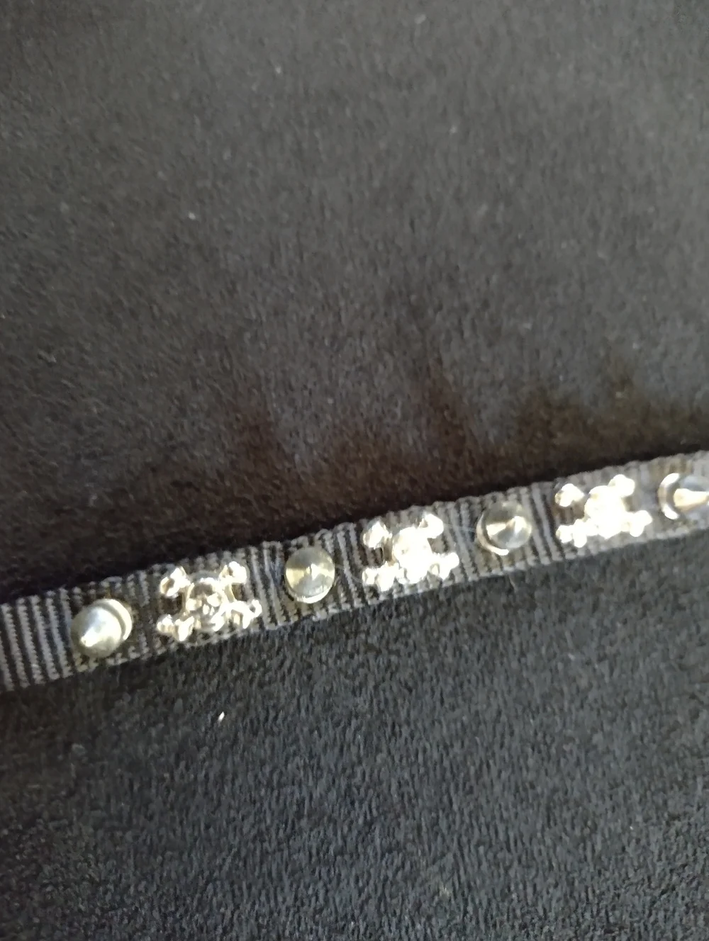 Studded Black Skull & Crossbones Small Dog/Cat Collar Cross Bones 11.25